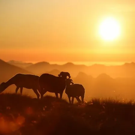 Triplex A Pour 5 Pers., Parking, Balcon, A 1 Km Des Pistes Et Du Centre - Fr-1-401-67 * Cauterets